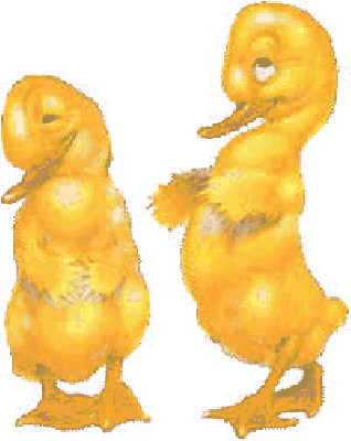 Dwie szczęśliwe kaczuszki